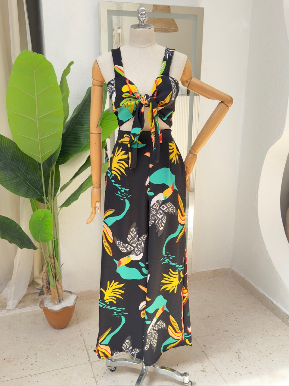 Conjunto Lizandra - Coqueiro preto