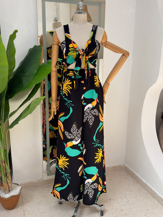 Conjunto Lizandra - Coqueiro preto